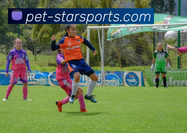 星空体育赛事APP 封面图